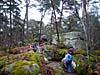 Forêt de Fontainebleau