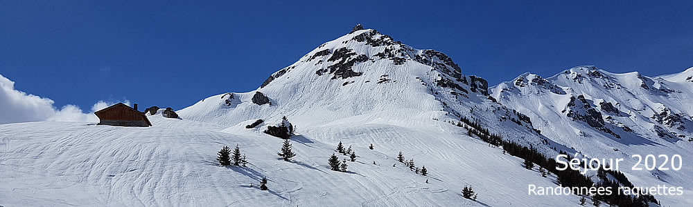 Séjour neige “raquettes” à La Côte d’Aime (Savoie) Chalet Le Paradou