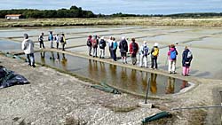 Séjour randonnées à PIRIAC SUR MER